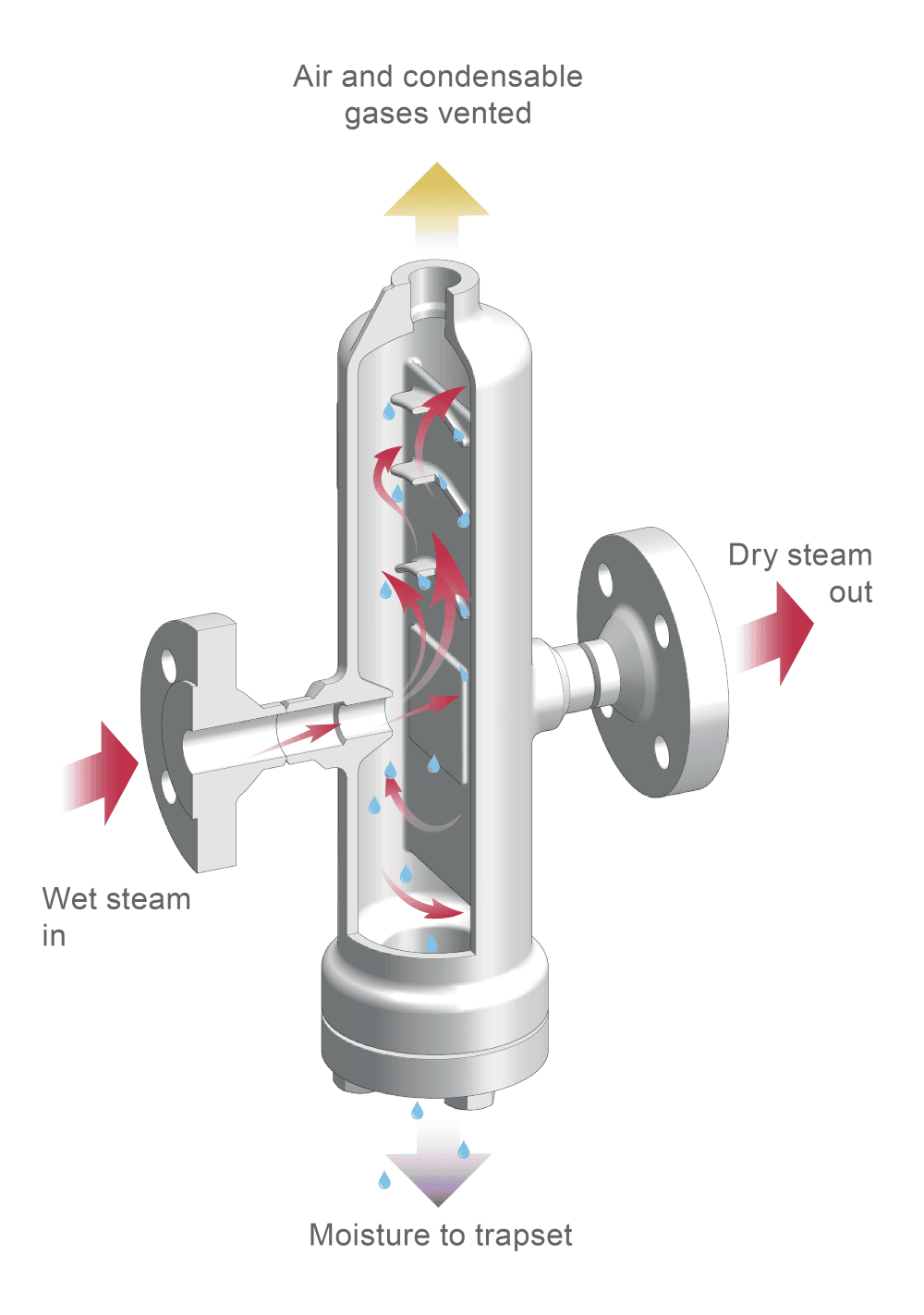 蒸汽汽水分离器